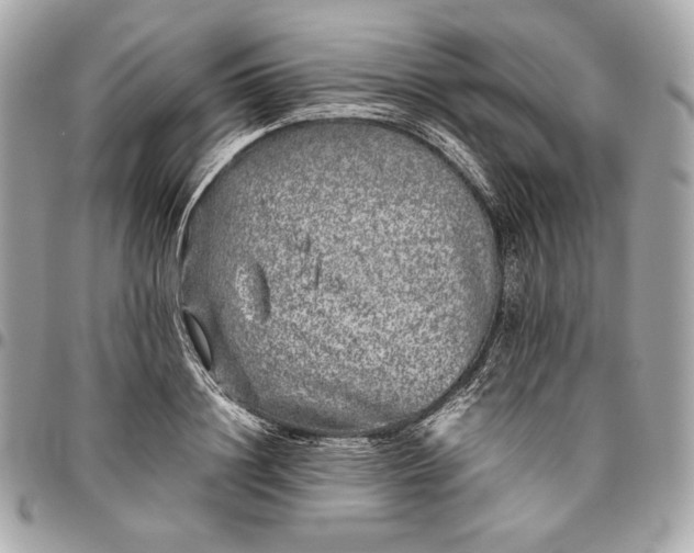 X0000096420844200802071701