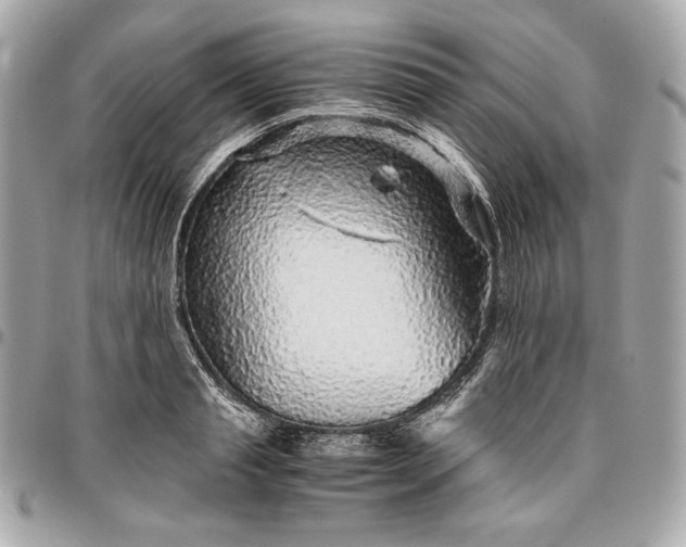 X0000096420845200802071701