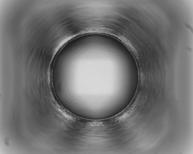 X0000096420846200802071701