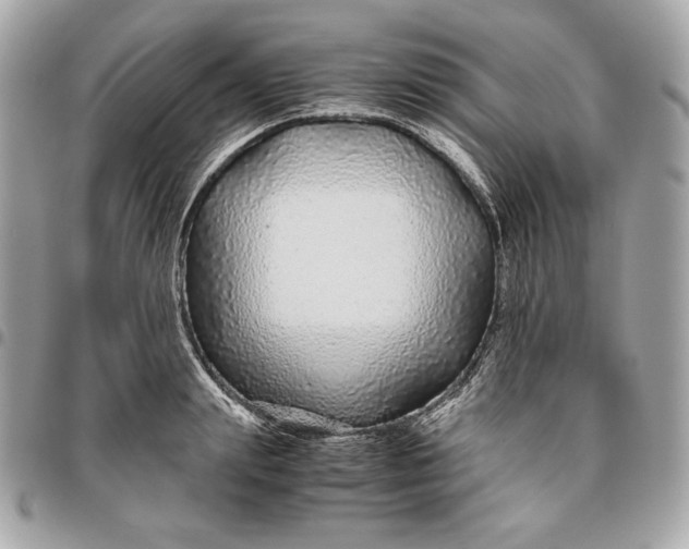 X0000096420847200802071701