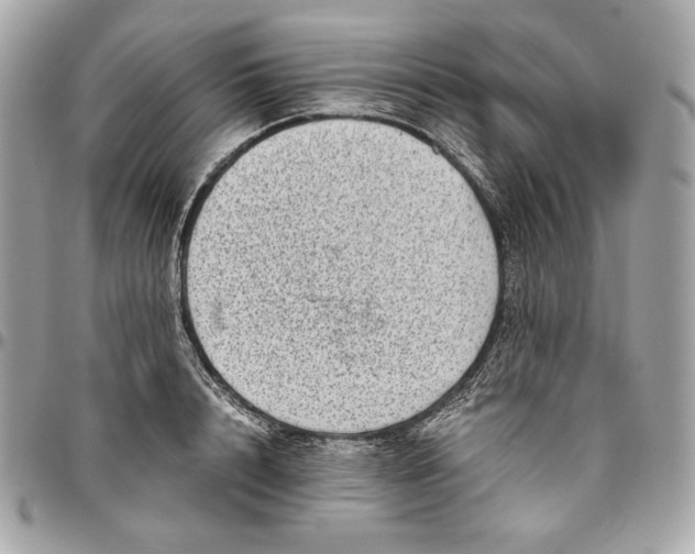 X0000096420848200802071701