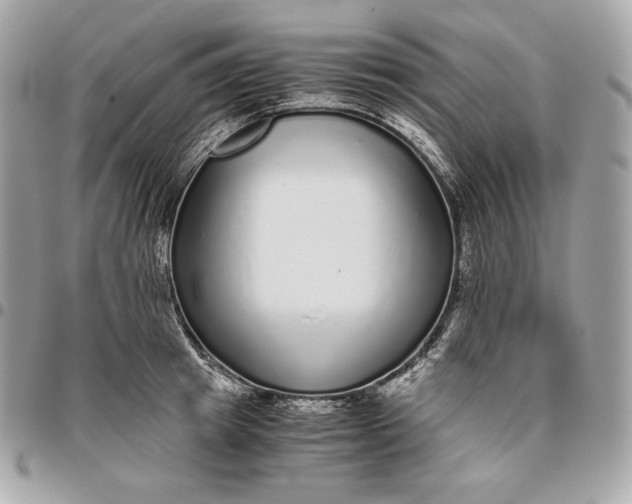 X0000096420849200802071701