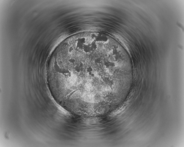 X0000096420851200802071701