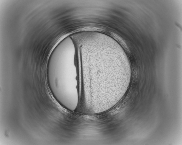 X0000096420852200802071701