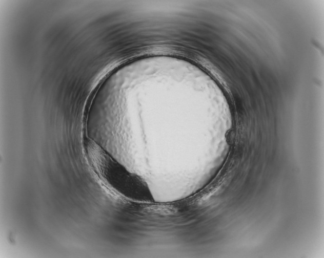 X0000096420853200802071701