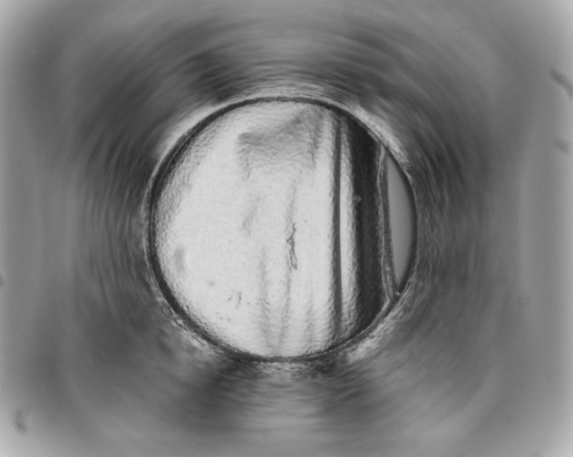 X0000096420854200802071701