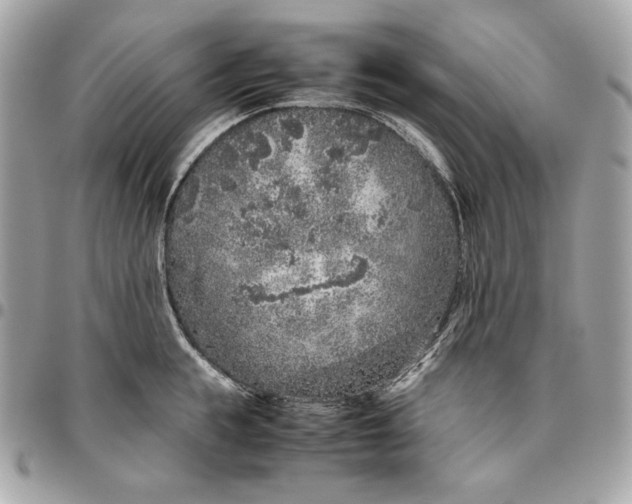 X0000096420855200802071701