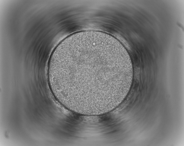 X0000096420856200802071701