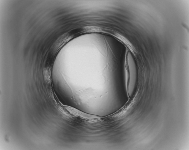 X0000096420857200802071701