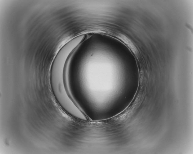 X0000096420858200802071701