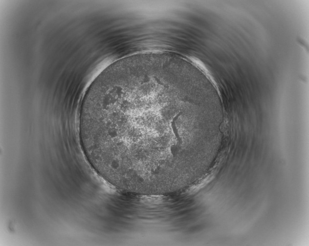 X0000096420859200802071701