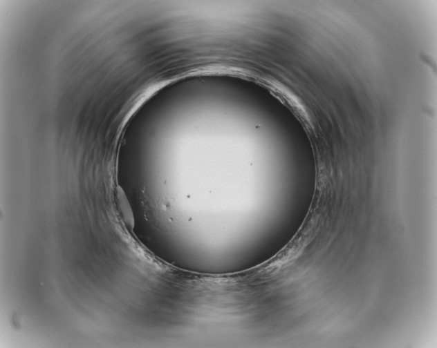 X0000096420860200802071701