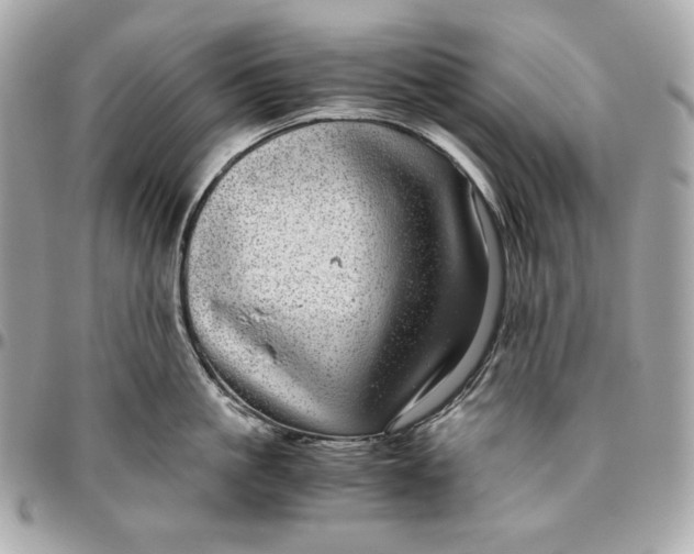 X0000096420861200802071701