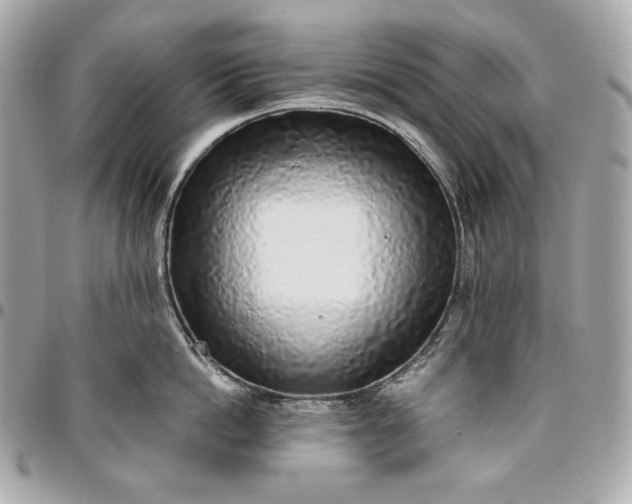 X0000096420862200802071701