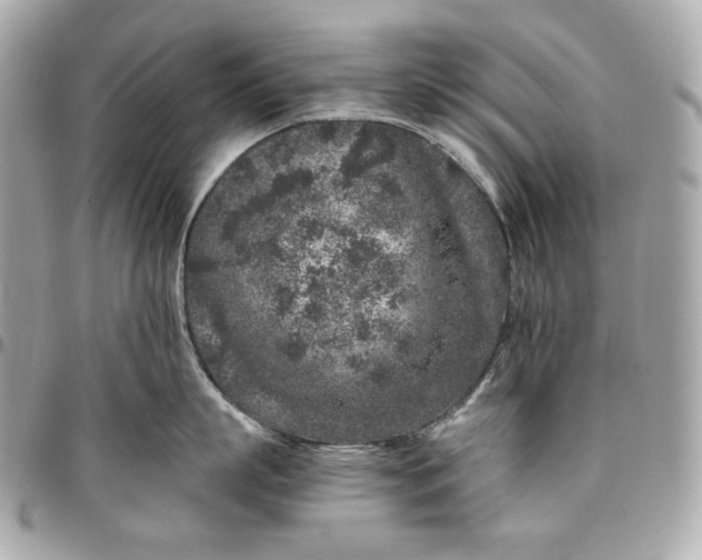 X0000096420863200802071701