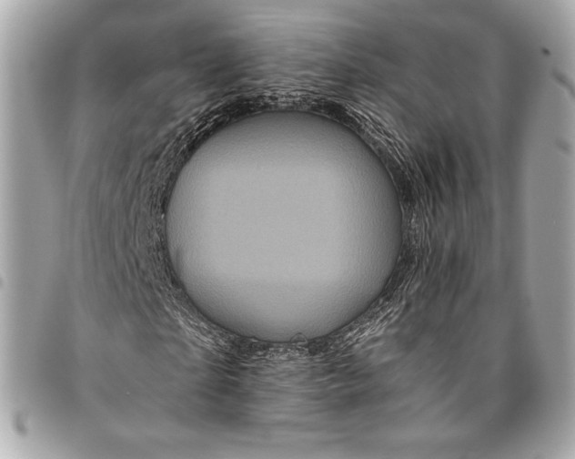 X0000096420865200802071700