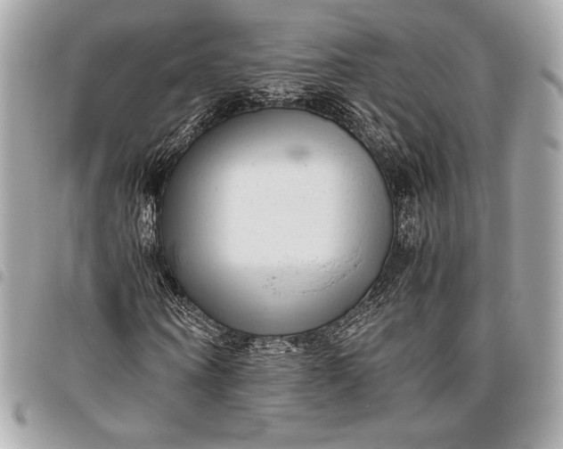 X0000096420866200802071700