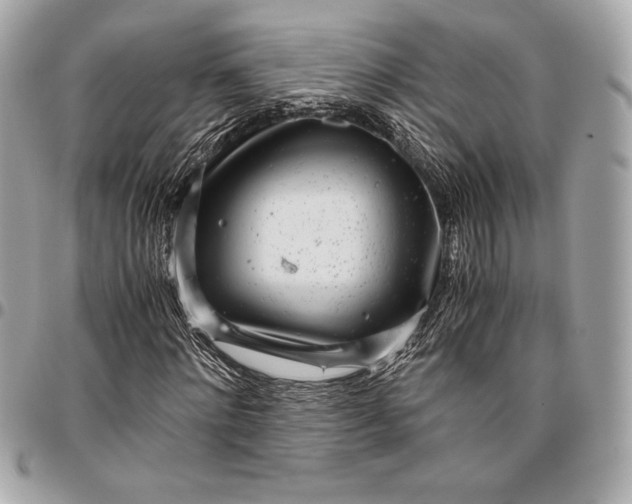 X0000096420868200802071700