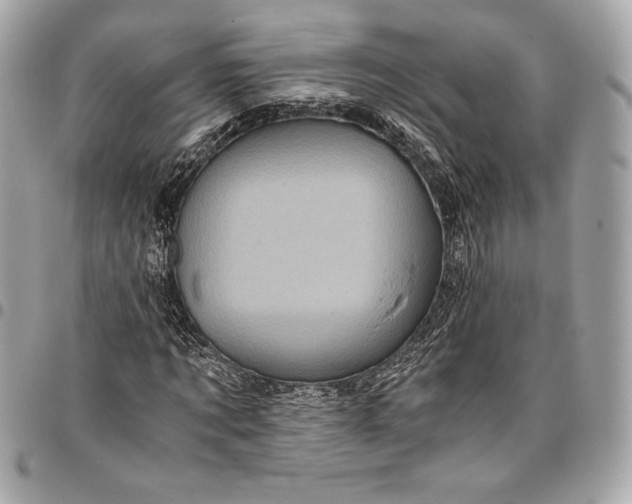 X0000096420869200802071700