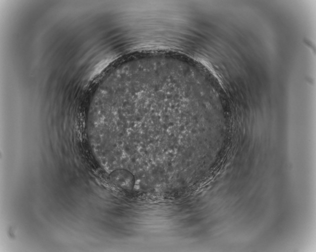 X0000096420871200802071700