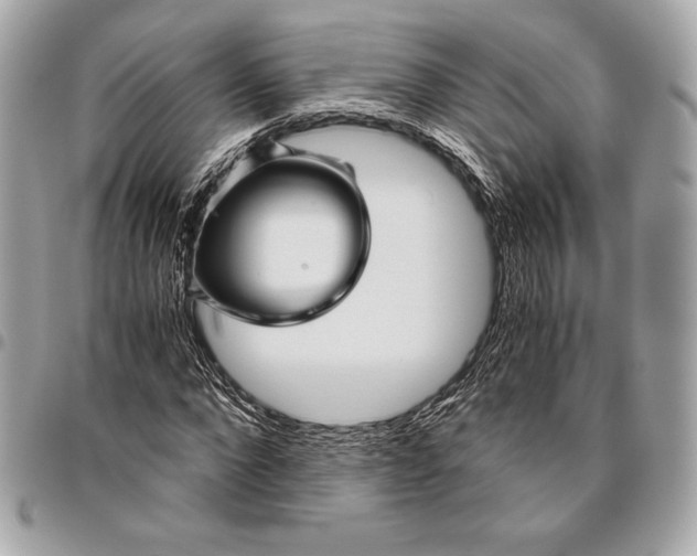 X0000096420872200802071700