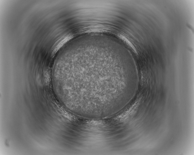 X0000096420874200802071700