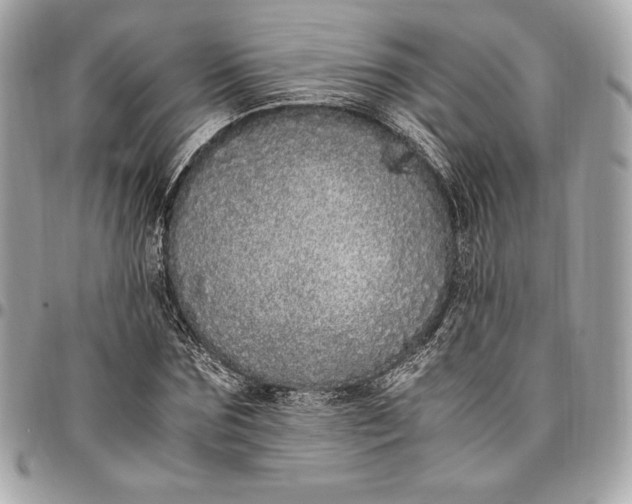 X0000096420875200802071700