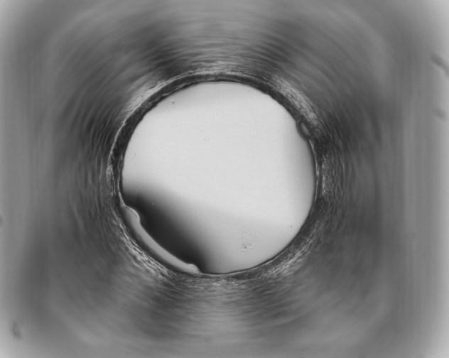 X0000096420876200802071700