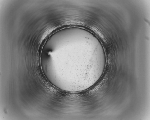 X0000096420877200802071700