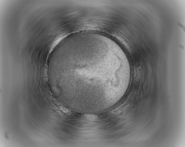 X0000096420878200802071700