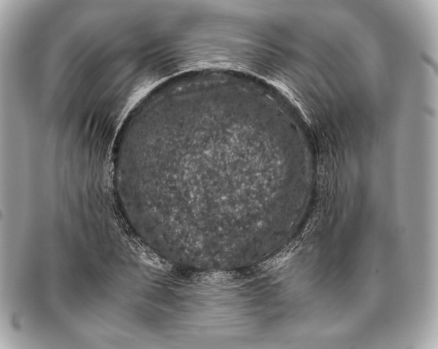 X0000096420879200802071700