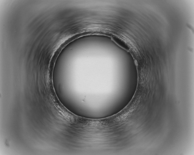 X0000096420880200802071700