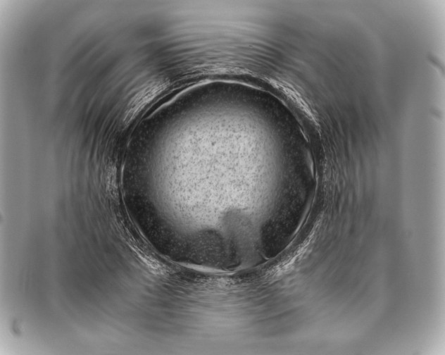 X0000096420881200802071700