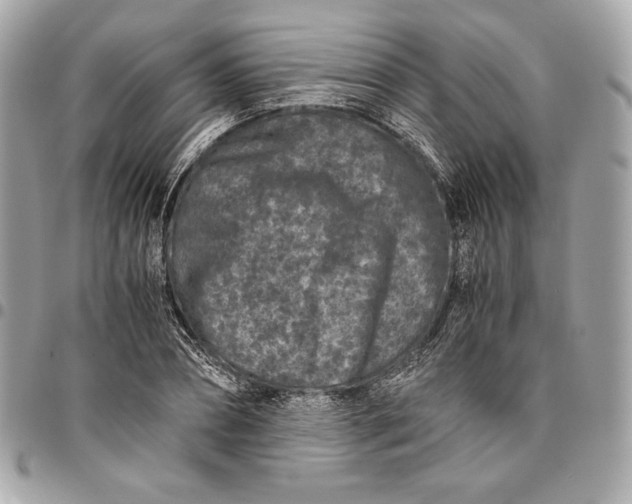 X0000096420882200802071700