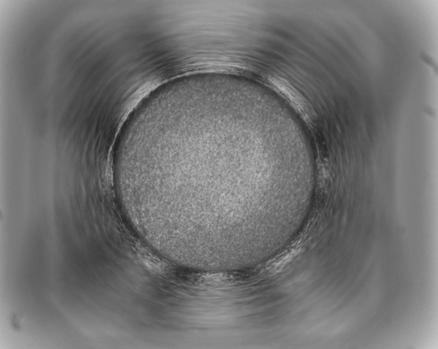 X0000096420883200802071700