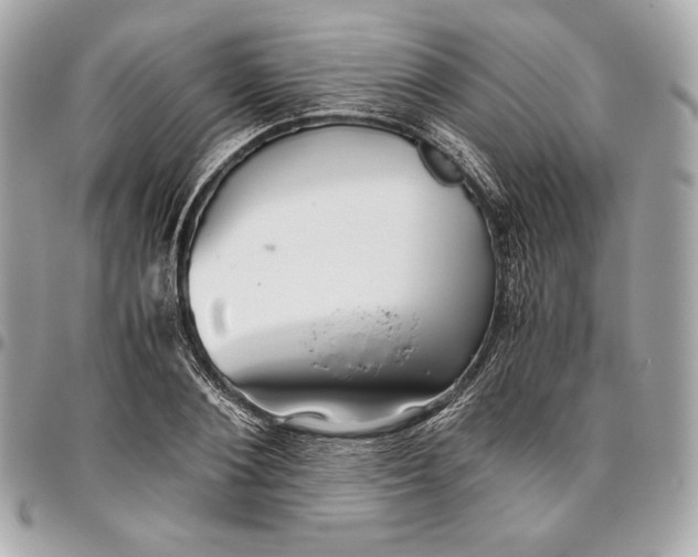 X0000096420884200802071700