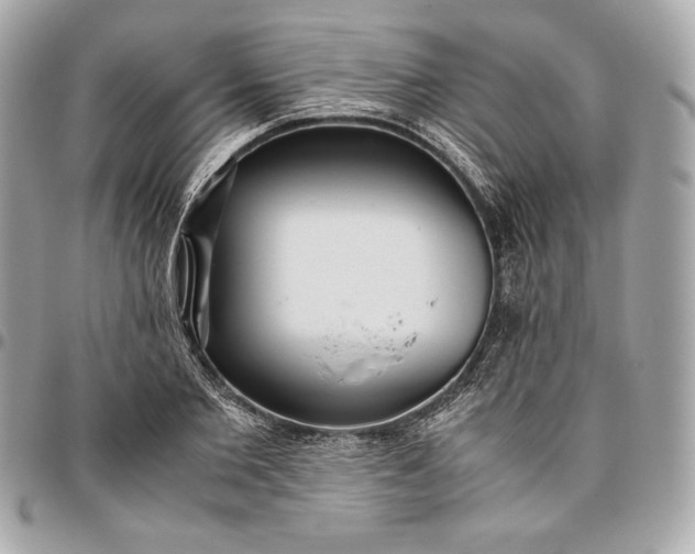 X0000096420885200802071700