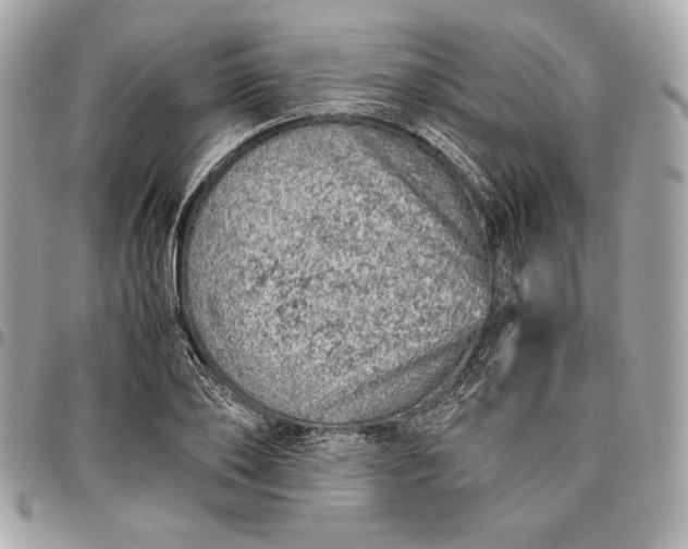 X0000096420886200802071700