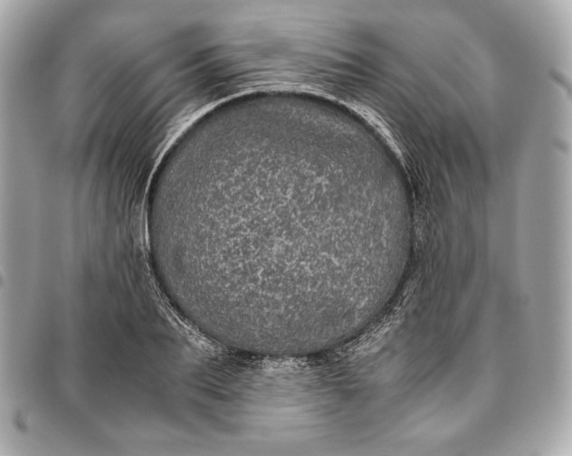 X0000096420887200802071700