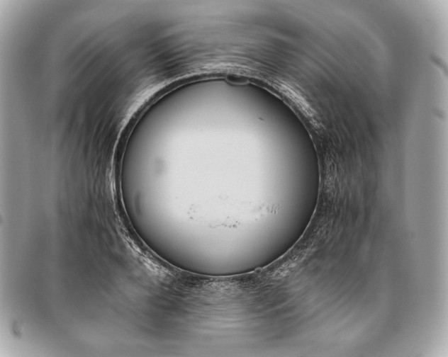 X0000096420888200802071700