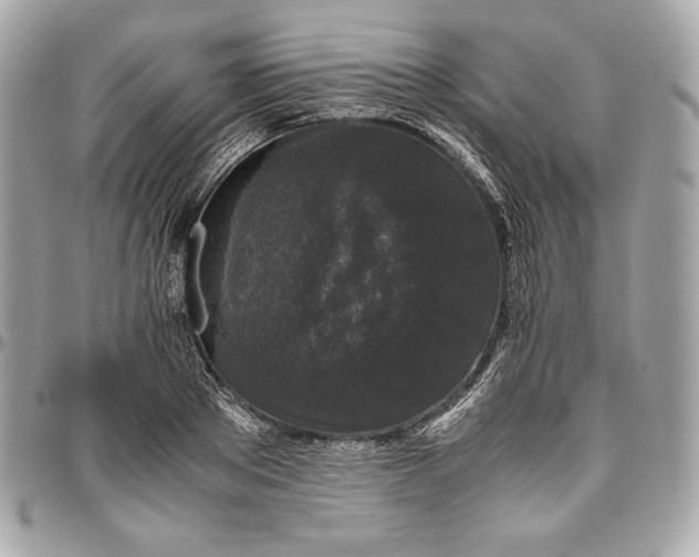 X0000096420889200802071700