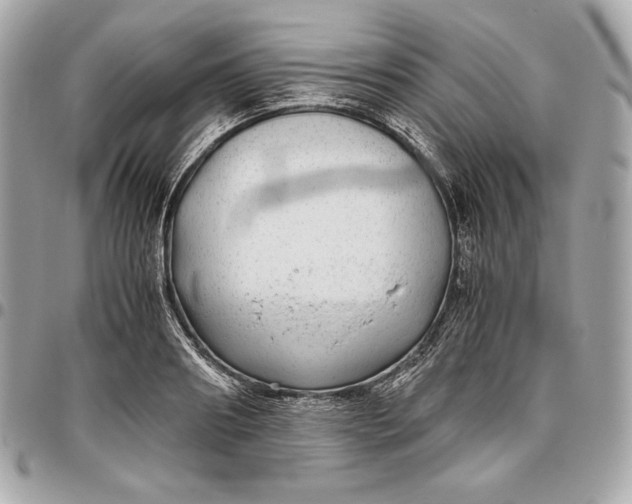 X0000096420890200802071700