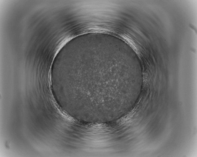 X0000096420891200802071700