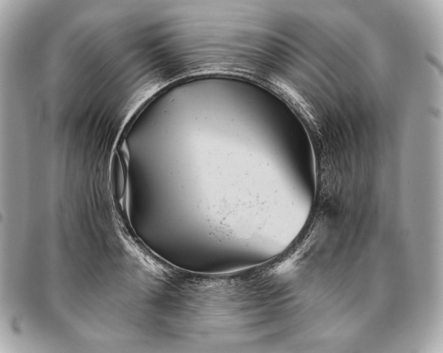 X0000096420892200802071700