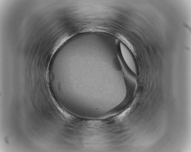 X0000096420893200802071700