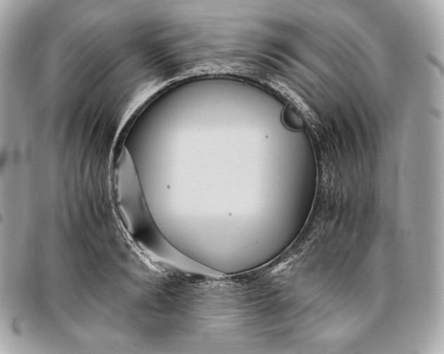 X0000096420894200802071700