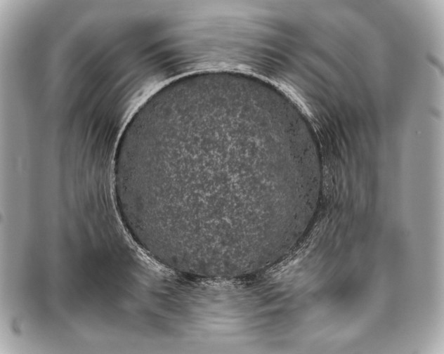 X0000096420895200802071700