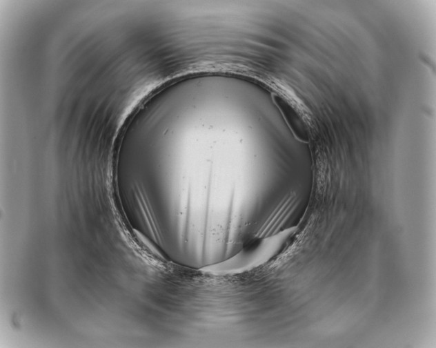 X0000096420896200802071700