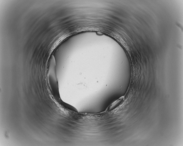 X0000096420898200802071700