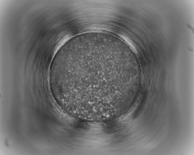 X0000096420899200802071700